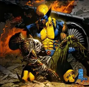 Marvel Studio Pictures Collection