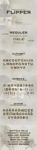 CM - FLIPPER - NFC Font Family 3019946