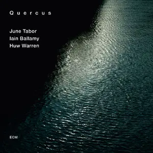 June Tabor, Iain Ballamy, Huw Warren - Quercus (2013) [Official Digital Download]