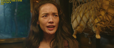 Journey to the West: Conquering the Demons (2013)
