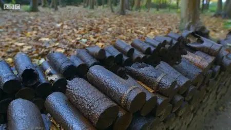 BBC - The World's War: Forgotten Soldiers of Empire (2014)