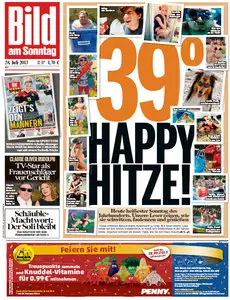 Bild am Sonntag, 28 Juli 2013