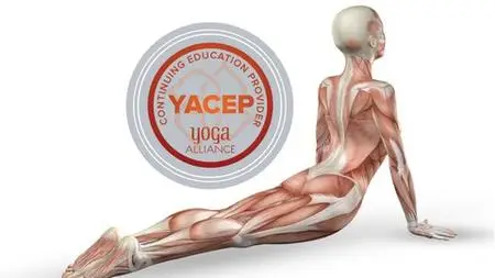 Yoga Anatomy & Physiology Certificate - Yoga Alliance Yacep