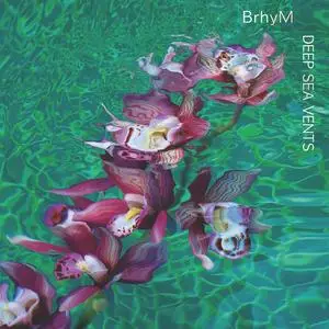 BrhyM (Bruce Hornsby and yMusic) - Deep Sea Vents (2024) [Official Digital Download 24/48]