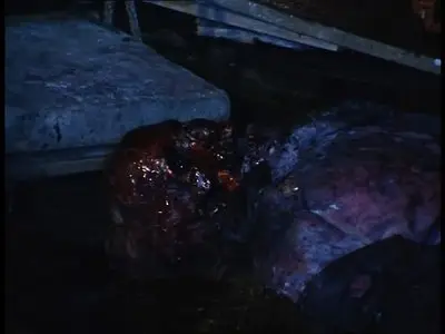 Premutos (1999)