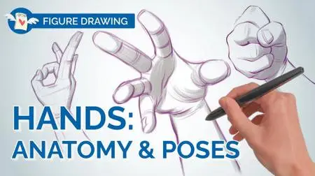 How to Draw Realistic 3D HANDS - Anatomy, Proportions & Dynamic Poses