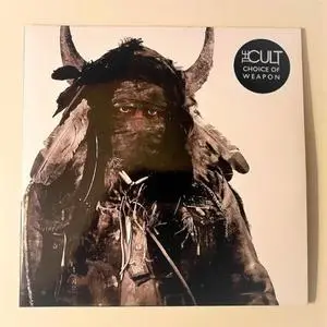 The Cult: Discography & Video (1984-2012) [10CD + 2LP + 3DVD]