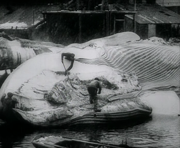 South (1920)