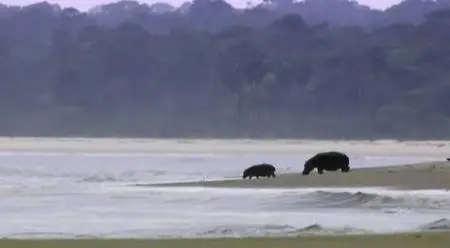 Gabon the last Eden