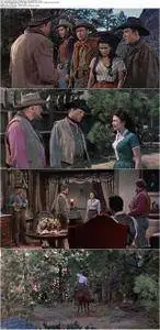 Raw Edge (1956)