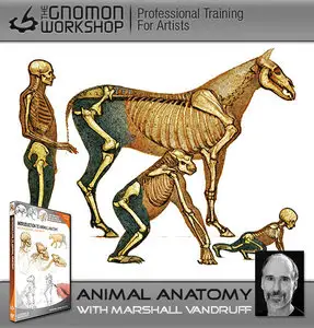 Gnomon Workshop: Introduction to Animal Anatomy [Repost]