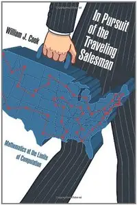 In Pursuit of the Traveling Salesman: Mathematics at the Limits of Computation (Repost)