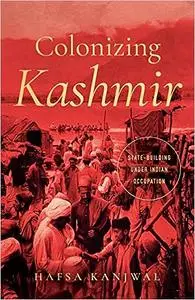 Colonizing Kashmir: State-building under Indian Occupation