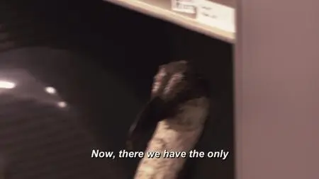 Extinct or Alive S01E08