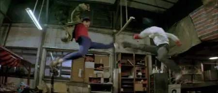 Fatal Contact (2006)