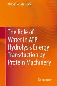 The Role of Water in ATP Hydrolysis Energy Transduction by Protein Machinery