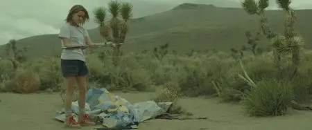 Wild / Дикая (2014)