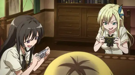 meow meow Haganai I Don't Have Many Friends (2011 S01E02 Theres No God in the Electric World AC mkv" yEnc