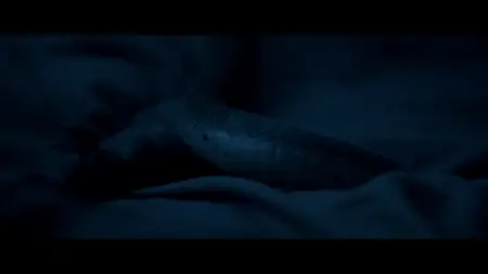Serpent (2017)