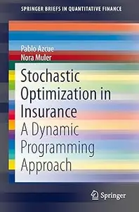 Stochastic Optimization in Insurance: A Dynamic Programming Approach