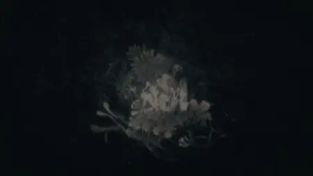 The Last of Us S02E01