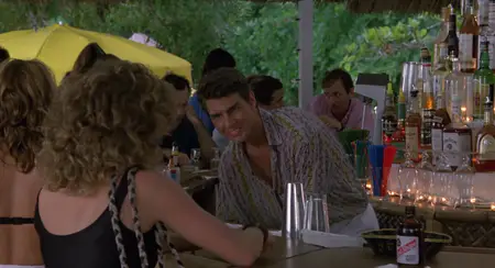 Cocktail (1988)