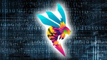 TCM Security - Practical Bug Bounty