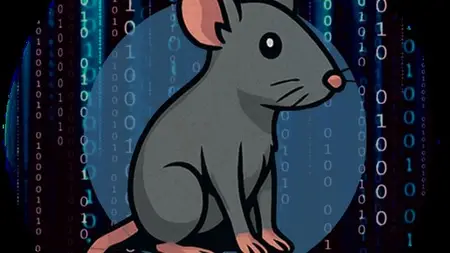 Capie - Certified Api Hacking Expert Course Content
