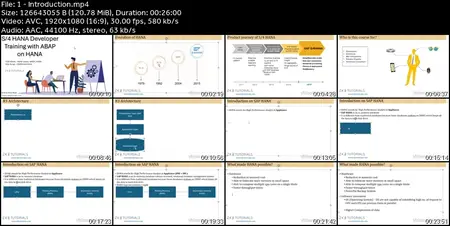 SAP ABAP On HANA  and Workflow