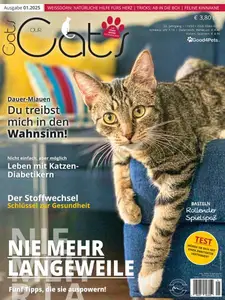 Our Cats - Januar 2025