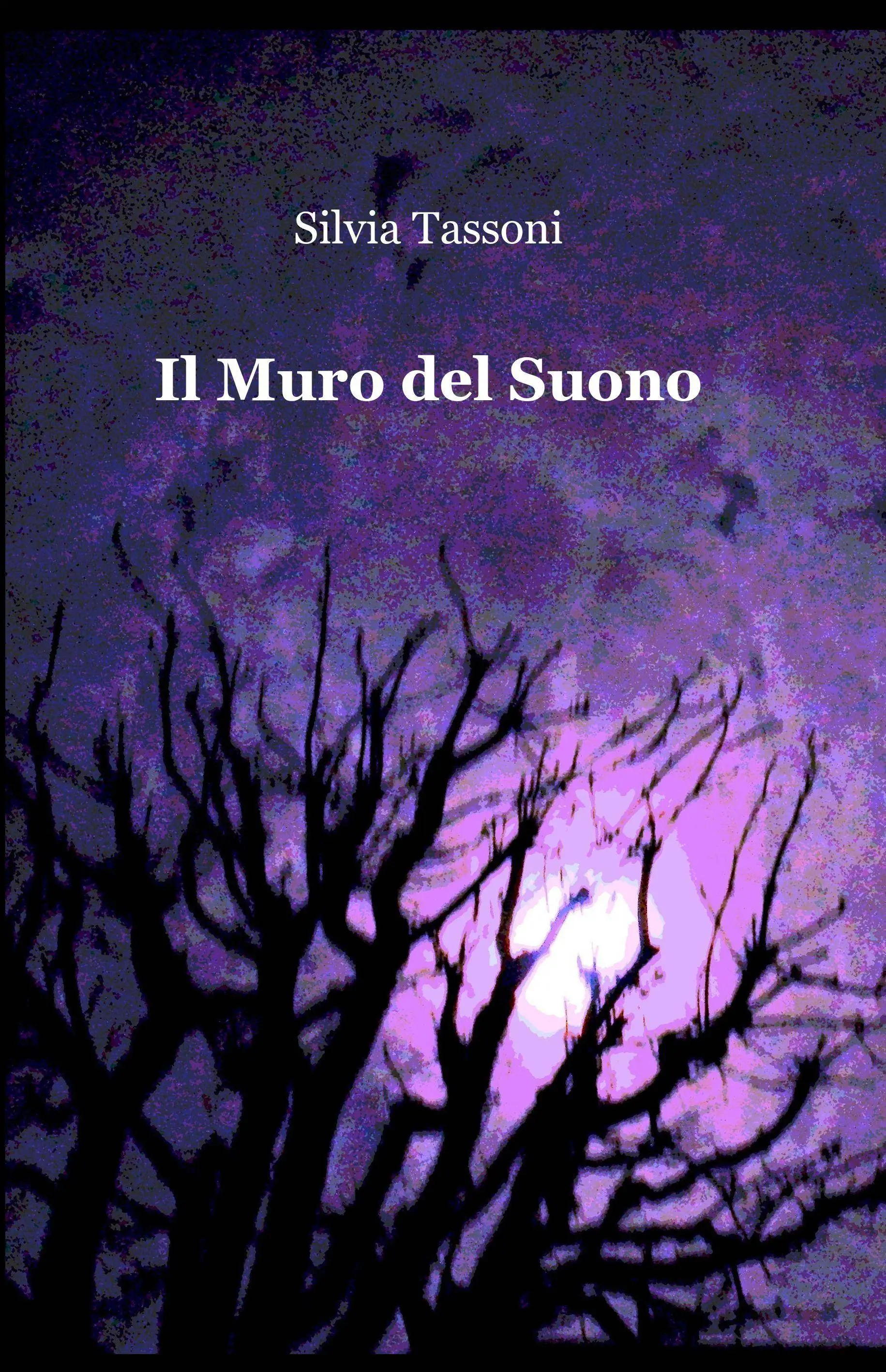 Il Muro del Suono