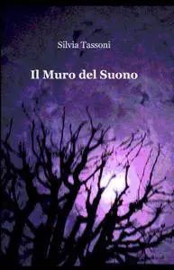 Il Muro del Suono