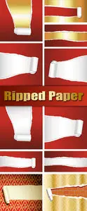 Ripped Paper Vector 2