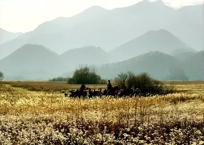The Assassin / Nie yin niang (2015)