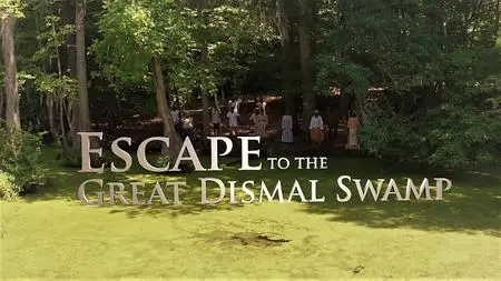 Smithsonian Ch. - Escape to the Great Dismal Swamp (2017)
