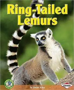 Ring-tailed Lemurs (Repost)