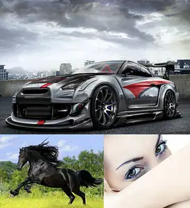 Airena wallapack 137