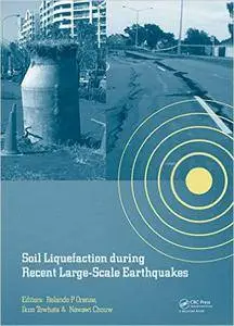 Soil Liquefaction during Recent Large-Scale Earthquakes