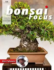 Bonsai Focus (German Edition) - Juli-August 2022