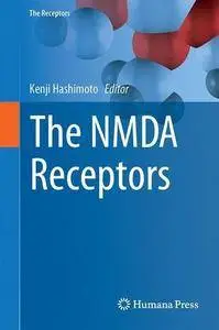 The NMDA Receptors (The Receptors)