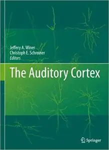 The Auditory Cortex