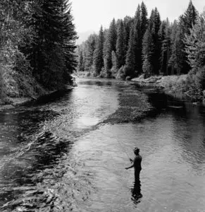 Pictures of the 20th Century (part 5)