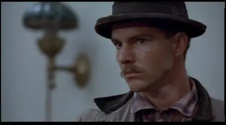 The Long Riders [DVD9] (1980)