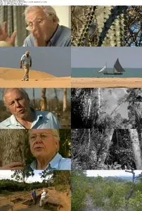 BBC - Attenborough and the Giant Egg (2011)