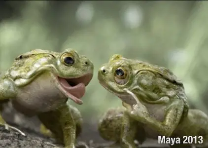 Autodesk Maya 2013 SP1.0