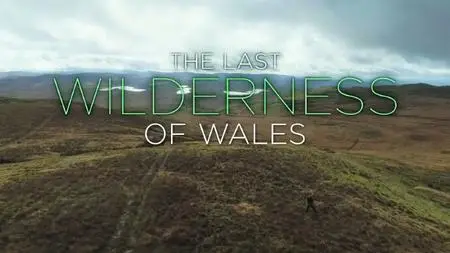 Iolo: The Last Wilderness of Wales (2020)