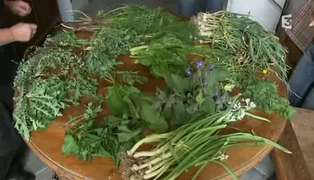 (Fr3) Mauvaises herbes (2011)