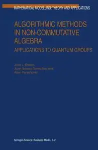 Algorithmic Methods in Non-Commutative Algebra: Applications to Quantum Groups (Repost)
