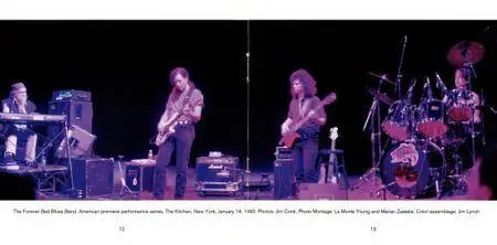 La Monte Young & The Forever Bad Blues Band - Just Stompin', Live at the Kitchen (1993) {2CD Set Gramavision R2 79487}