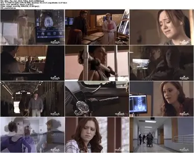 After the Fall (2010)
